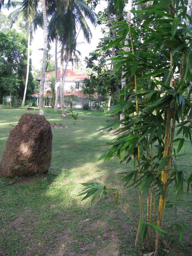 Anuhas Airport Villas Katunayaka Esterno foto